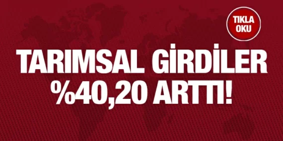 Tarımsal Girdi Fiyat Endeksi