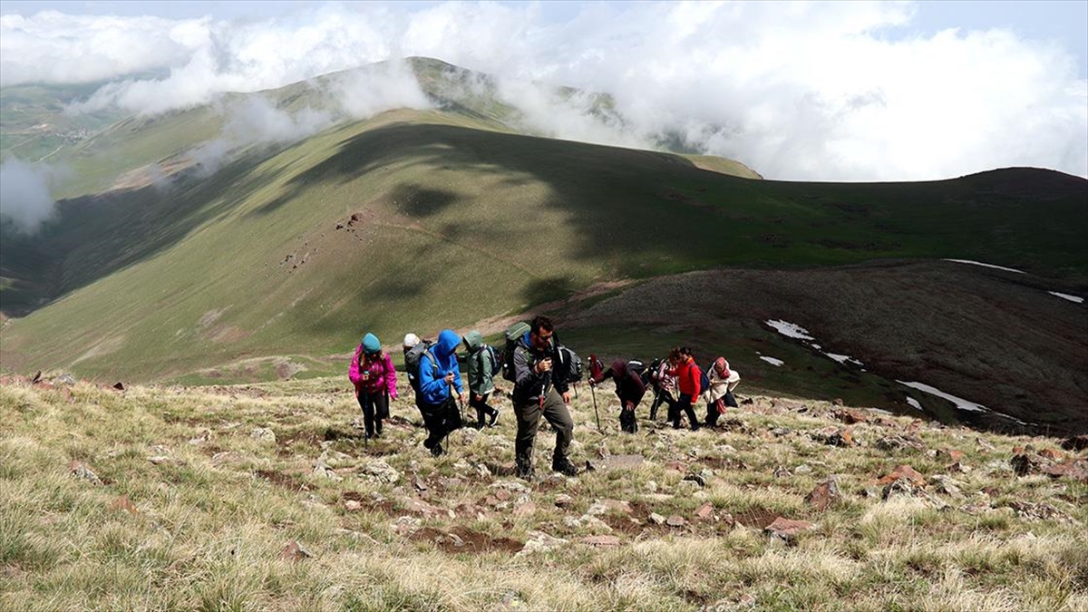 yagislarla-yesillenen-aras-daglari-doga-tutkunlarini-agirliyor-kHSLQ2Sf.jpg