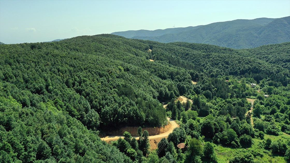 cinarcik-dogal-guzellikleriyle-turizm-sezonunda-nufusunun-10-katini-agirliyor-SRBehrTW.jpg