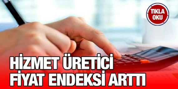 Haziran 2023 Hizmet Üretici Fiyat Endeksi