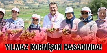 bbb_kriter_haber
