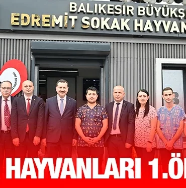 bbb_kriter_haber