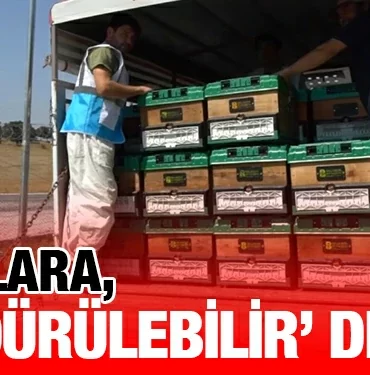 bbb_kriter_haber