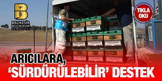 Ömrünü tamamlayan ağaçlar, kovan oluyor
