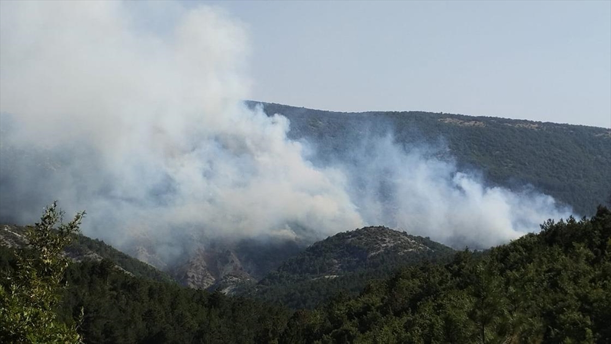 bilecikte-cikan-orman-yanginina-havadan-mudahale-ediliyor-sTeubuUX.jpg