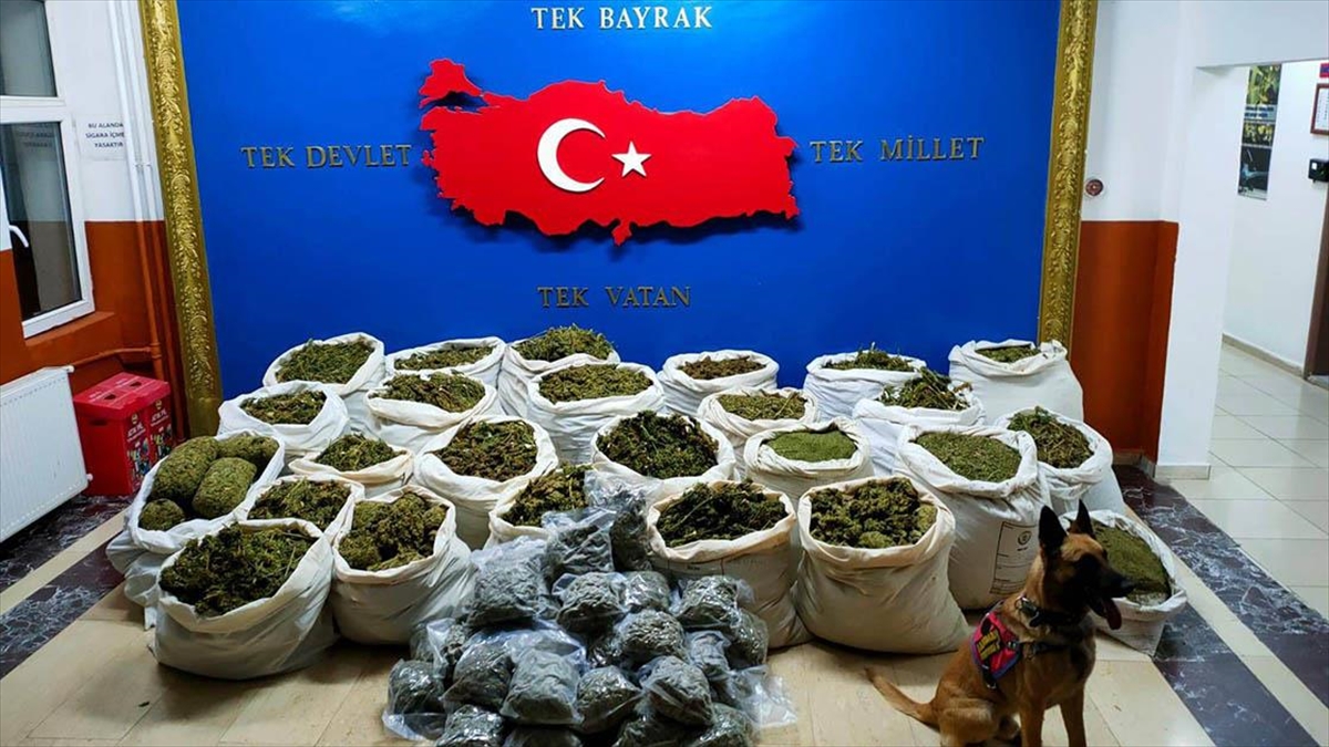 featured