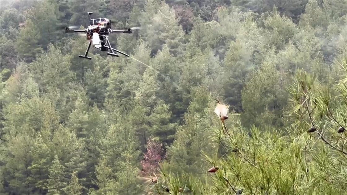 ispartada-cam-kese-bocekleriyle-mucadele-icin-dron-gelistirildi-ug8747dy.jpg