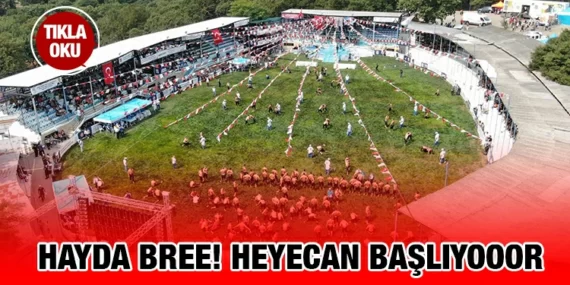 KURTDERE’DE GÜREŞ HEYECANI BAŞLIYOR