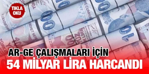 Merkezi Yönetim Bütçesinden AR-GE Faaliyetleri İçin Ayrılan Ödenek ve Harcamalar