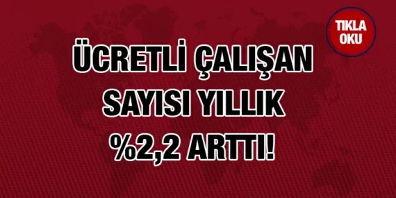 Ücretli Çalışan İstatistikleri
