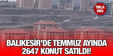 tuik_kriter_haber
