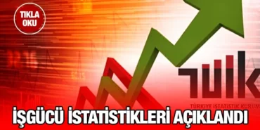 tuik_kriter_haber