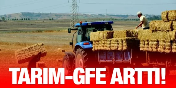Tarımsal Girdi Fiyat Endeksi, Haziran 2023