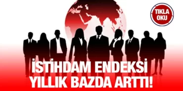 tuik_kriter_haber