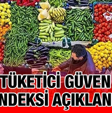 tuik_kriter_haber