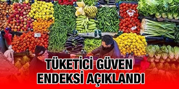 Tüketici Güven Endeksi, Ağustos 2023