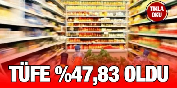 Temmuz 2023 Tüketici Fiyat Endeksi