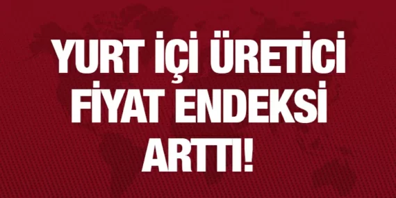 Temmuz 2023 Yurt İçi Üretici Fiyat Endeksi