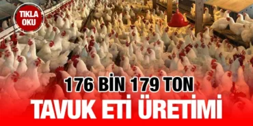 tuik_kriter_haber