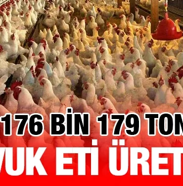 tuik_kriter_haber