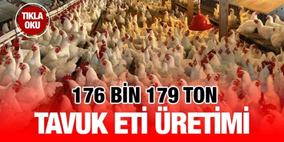 Haziran 2023 Kümes Hayvancılığı Üretimi