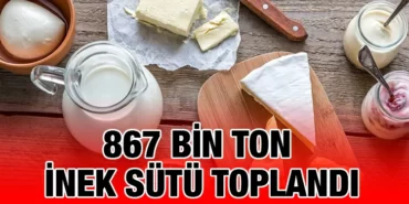 tuik_kriter_haber