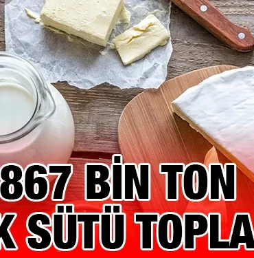 tuik_kriter_haber