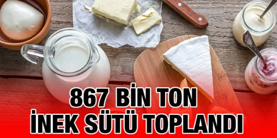 Haziran 2023 Süt ve Süt Ürünleri Üretimi