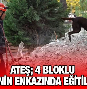bbb_kriter_haber