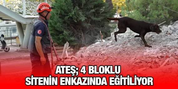 Ateş Gerçek Enkazda Eğitimlerini Sürdürüyor