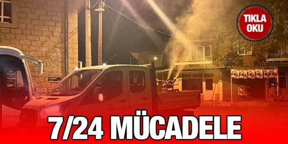 Büyükşehir’den haşereye geçit yok