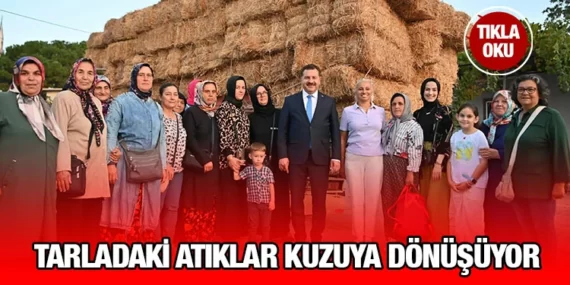 Tarladaki Atıklar Kuzuya Dönüşüyor