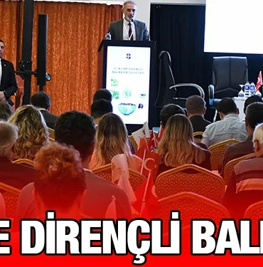 bbb_kriter_haber