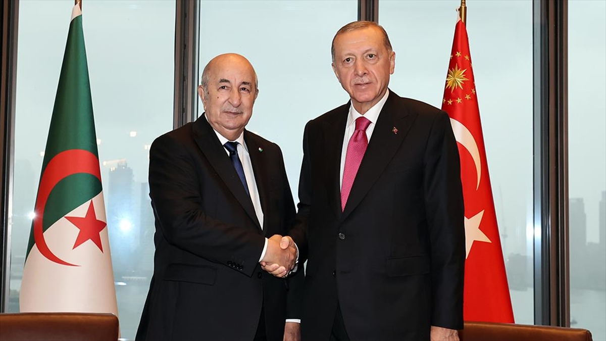 cumhurbaskani-erdogan-cezayir-cumhurbaskani-tebbun-ile-gorustu-23euDBBI.jpg