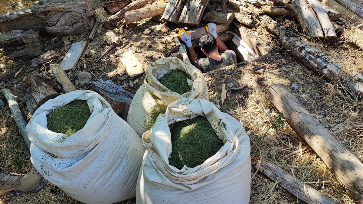 diyarbakirda-1-ton-530-kilogram-esrar-ve-2-milyon-850-kok-skunk-bitkisi-ele-gecirildi-ggB64MRk.jpg