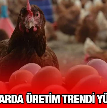 tuik_kriter_haber