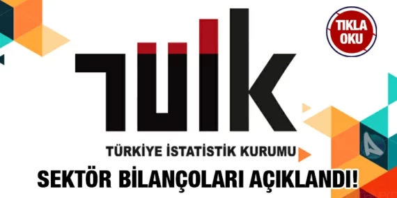 Sektör Bilançoları