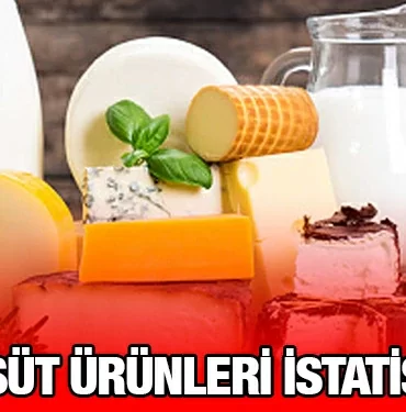 tuik_kriter_haber