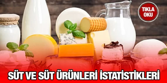 Temmuz 2023 Süt ve Süt Ürünleri Üretimi