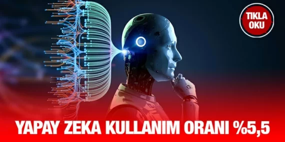 Girişimlerde Bilişim Teknolojileri Kullanım Araştırması