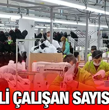 tuik_kriter_haber