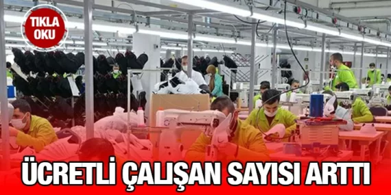 Ücretli Çalışan İstatistikleri