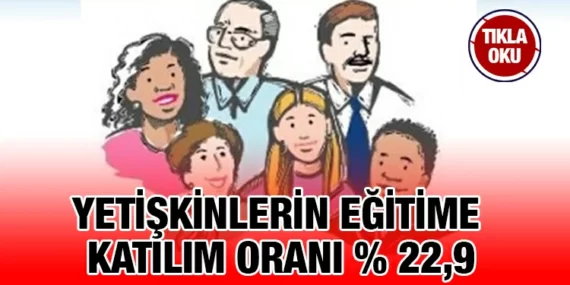 Yetişkin Eğitimi Araştırması