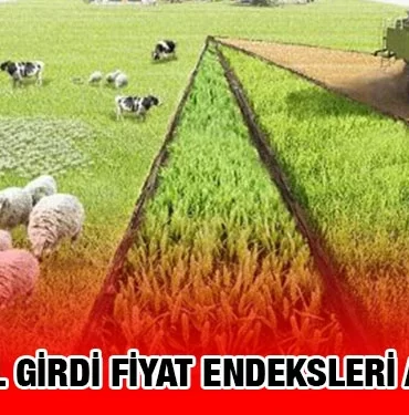 tuik_kriter_haber