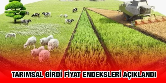TARIM-GFE ARTTI!
