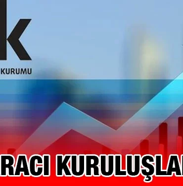 tuik_kriter_haber