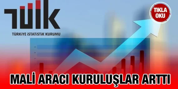 Mali Aracı Kuruluş İstatistikleri