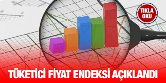 Tüketici Fiyat Endeksi, Ağustos 2023