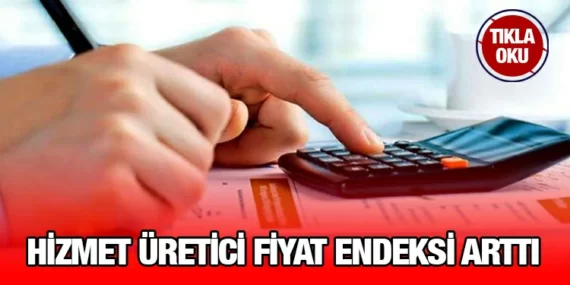 Hizmet Üretici Fiyat Endeksi