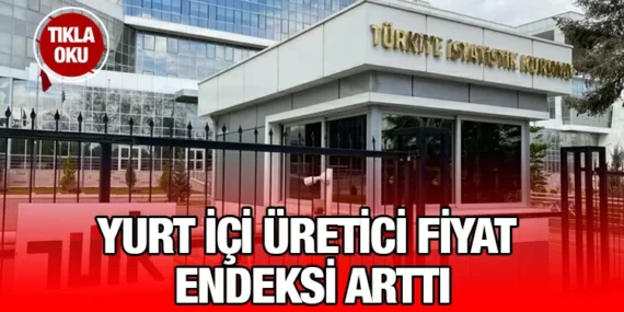 Yurt İçi Üretici Fiyat Endeksi, Ağustos 2023